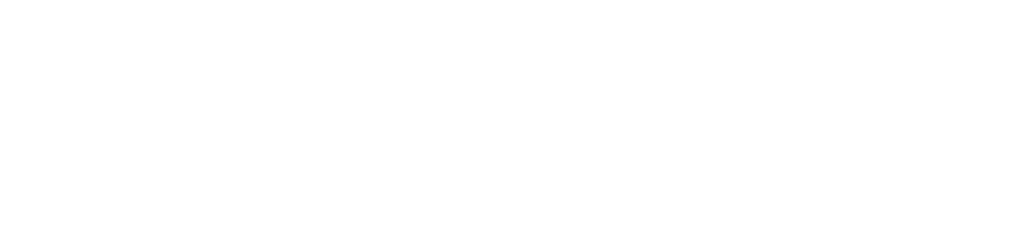 North Carolina Right to Life Political Action Committee