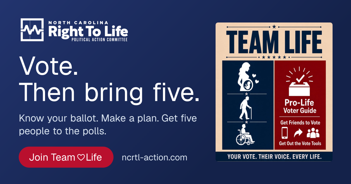 Davidson County Pro-Life Candidate Comparison – Lite